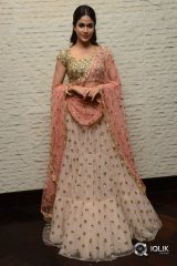 Lavanya Tripathi At Vunnadhi Okate Zindagi Movie Pre Release Function